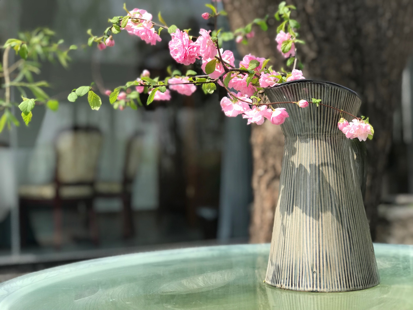 素味平生素食文化会所