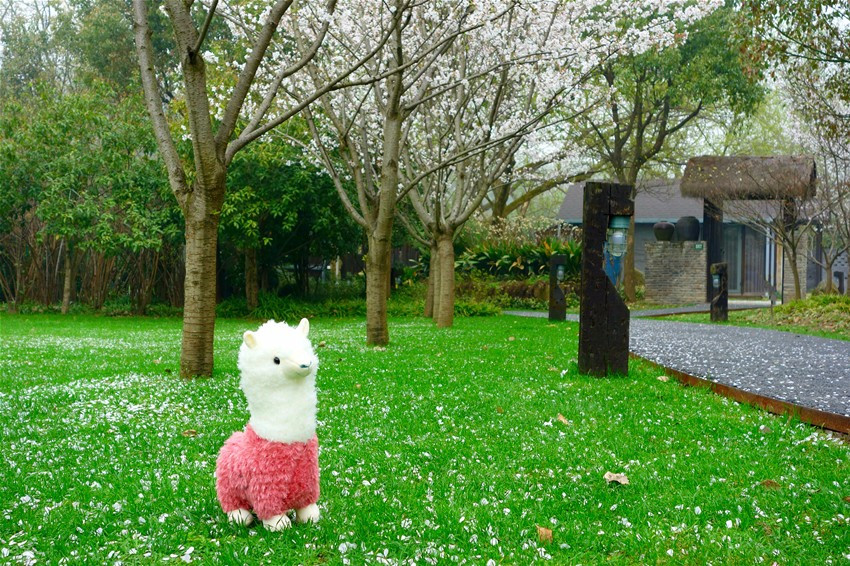 热土庄园素园餐厅