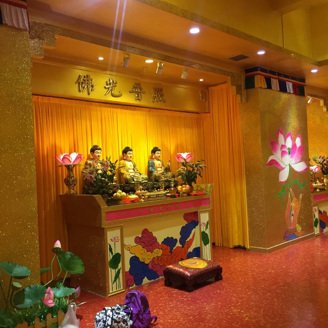 阳光绿色公益基金会