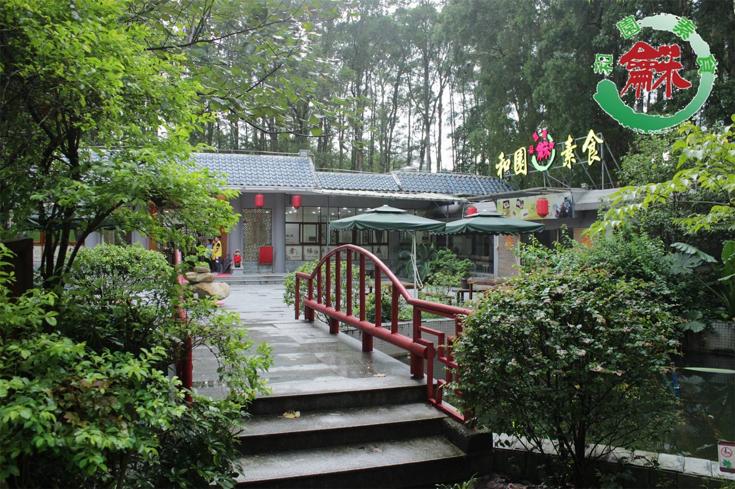和园素食