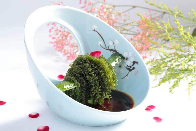 集雅园·新素食