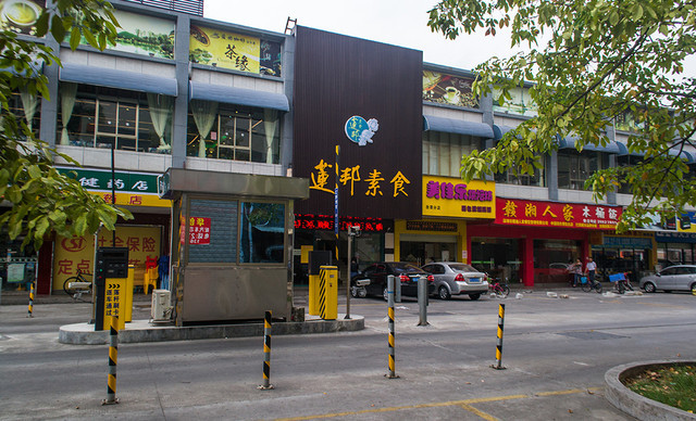 弘善养生素食（万江店）