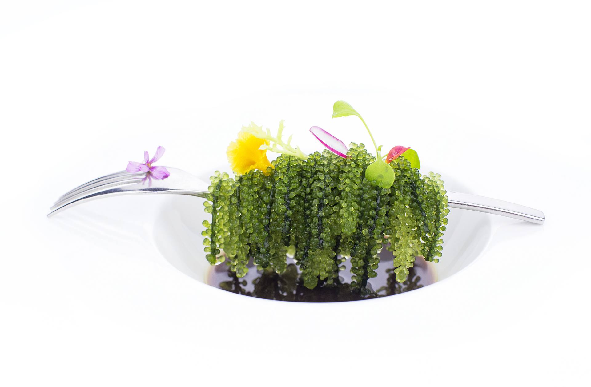 大蔬无界美素馆（万象城店）