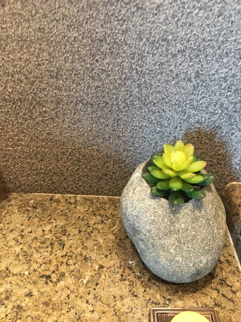 佛贤乐素食餐厅·清心素食