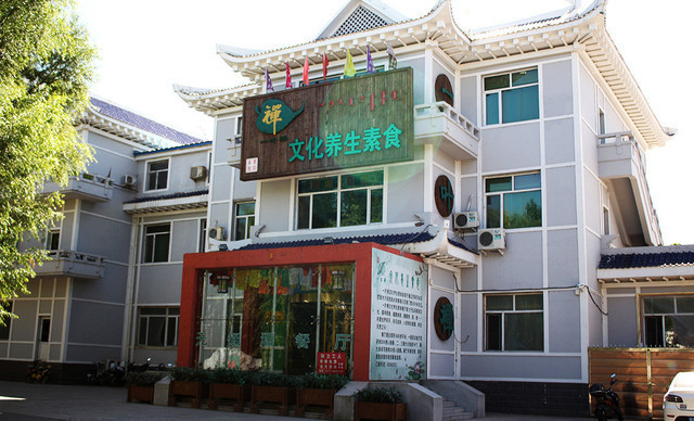 一叶禅文化养生素食