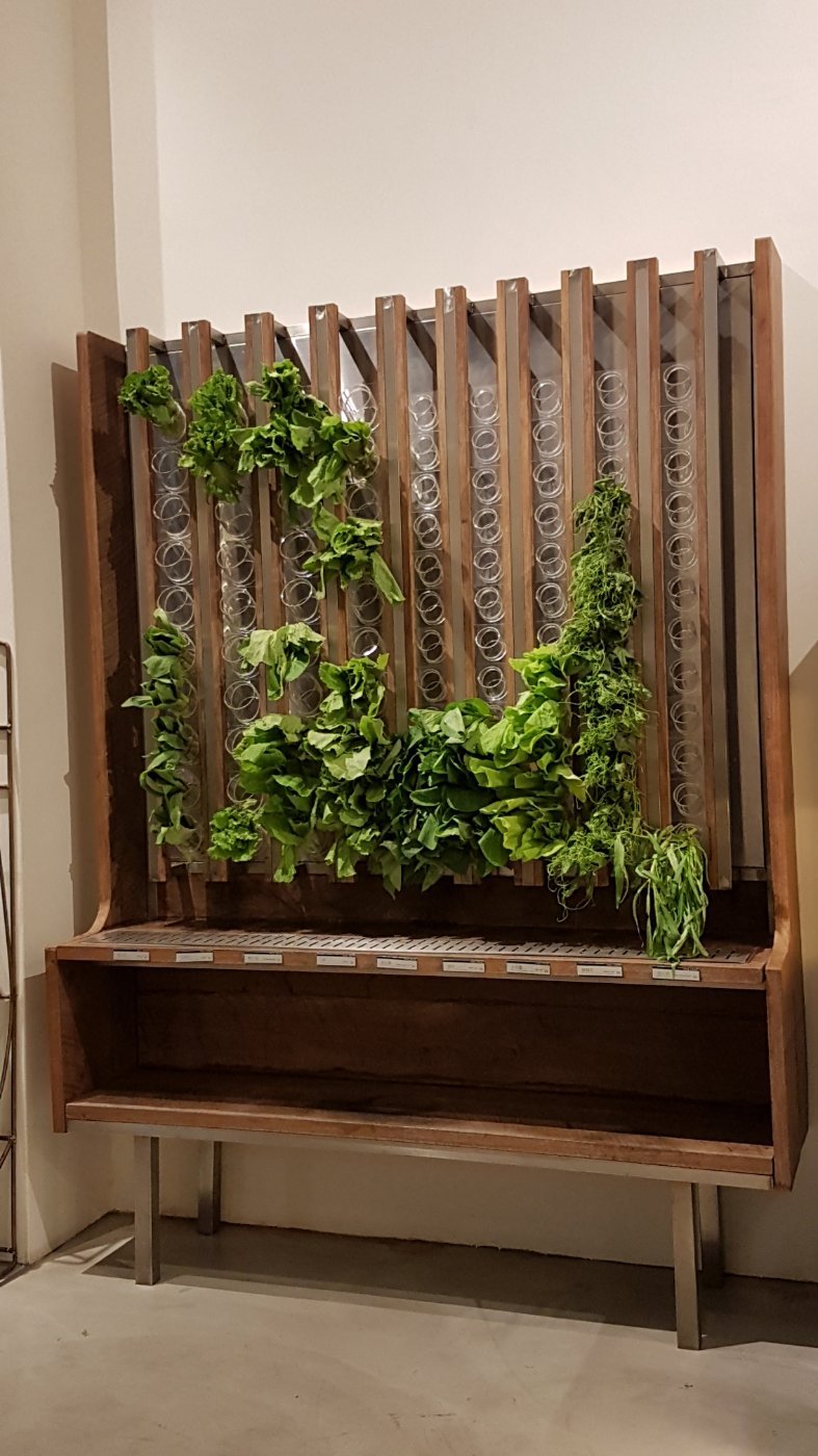 蔬河（台中園道店）