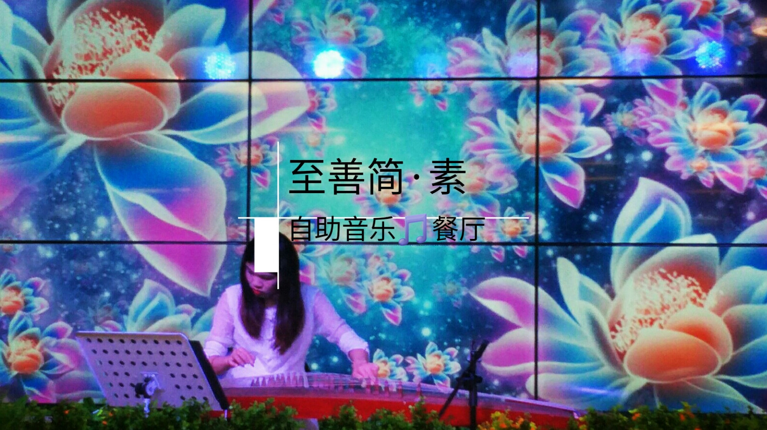 至善·简·素素食自助音乐餐厅