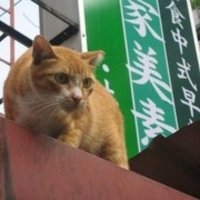 蔡家美素馆（土城店）